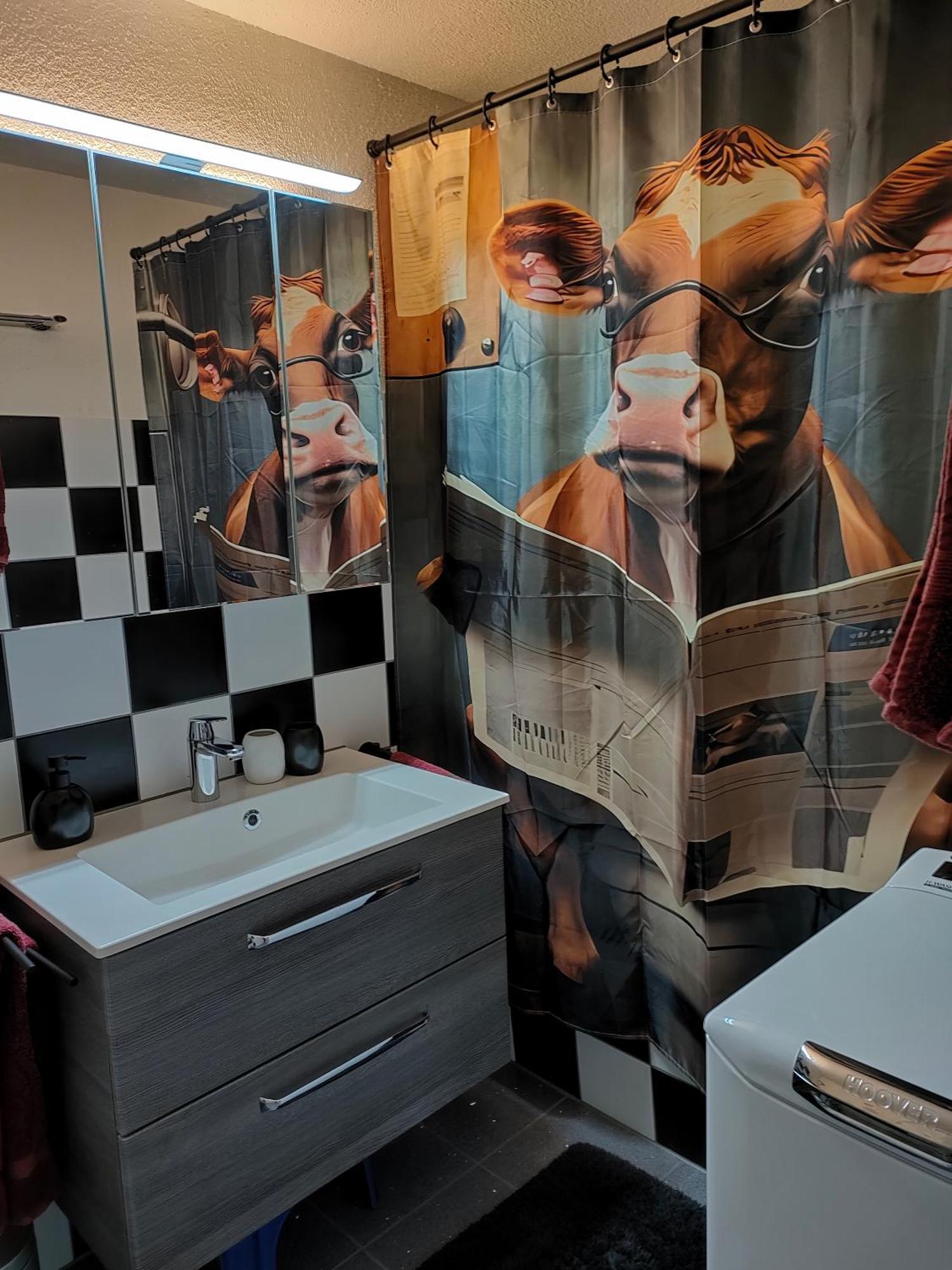 Camenzind Apartman Gersau Kültér fotó
