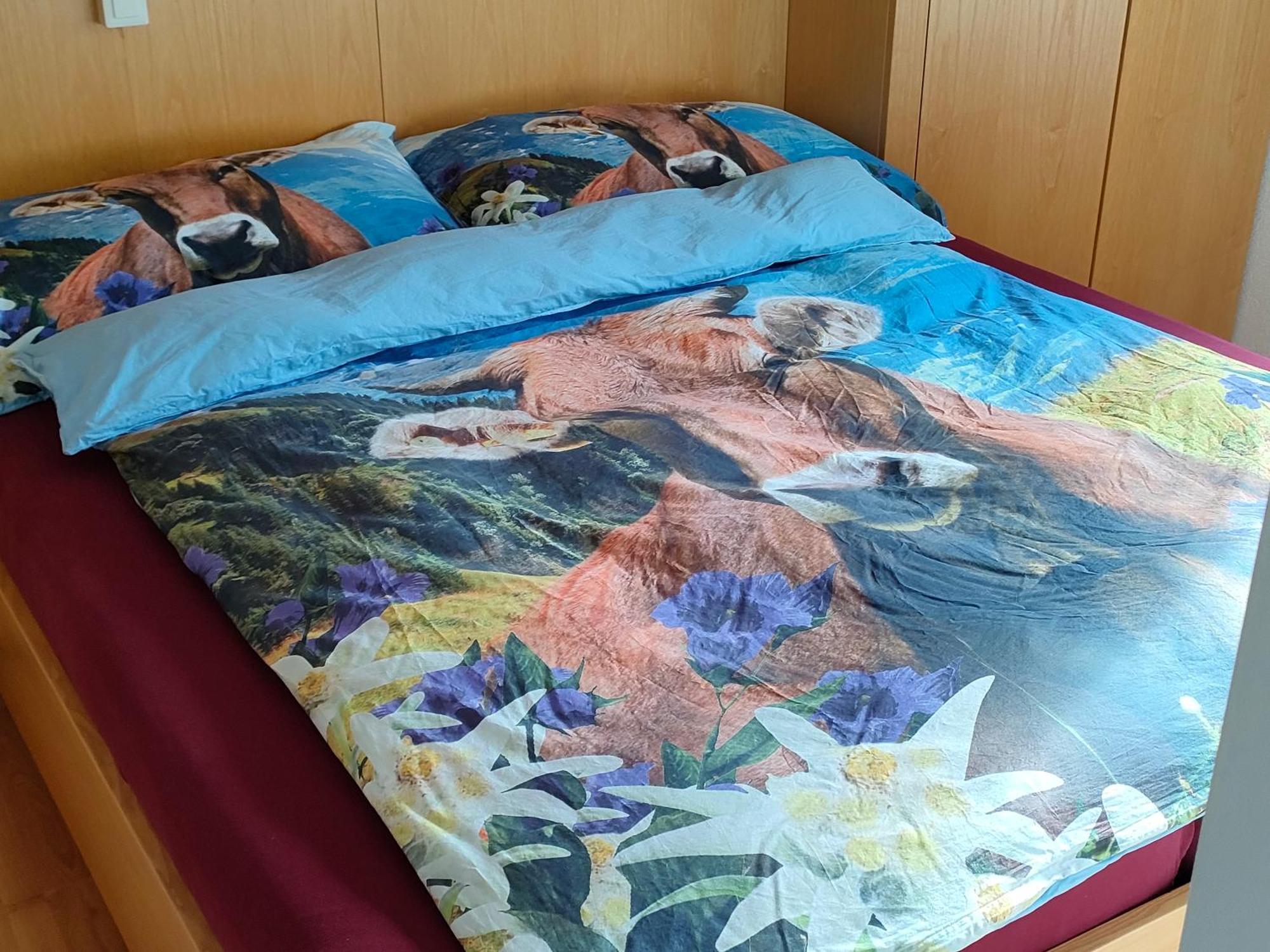 Camenzind Apartman Gersau Kültér fotó